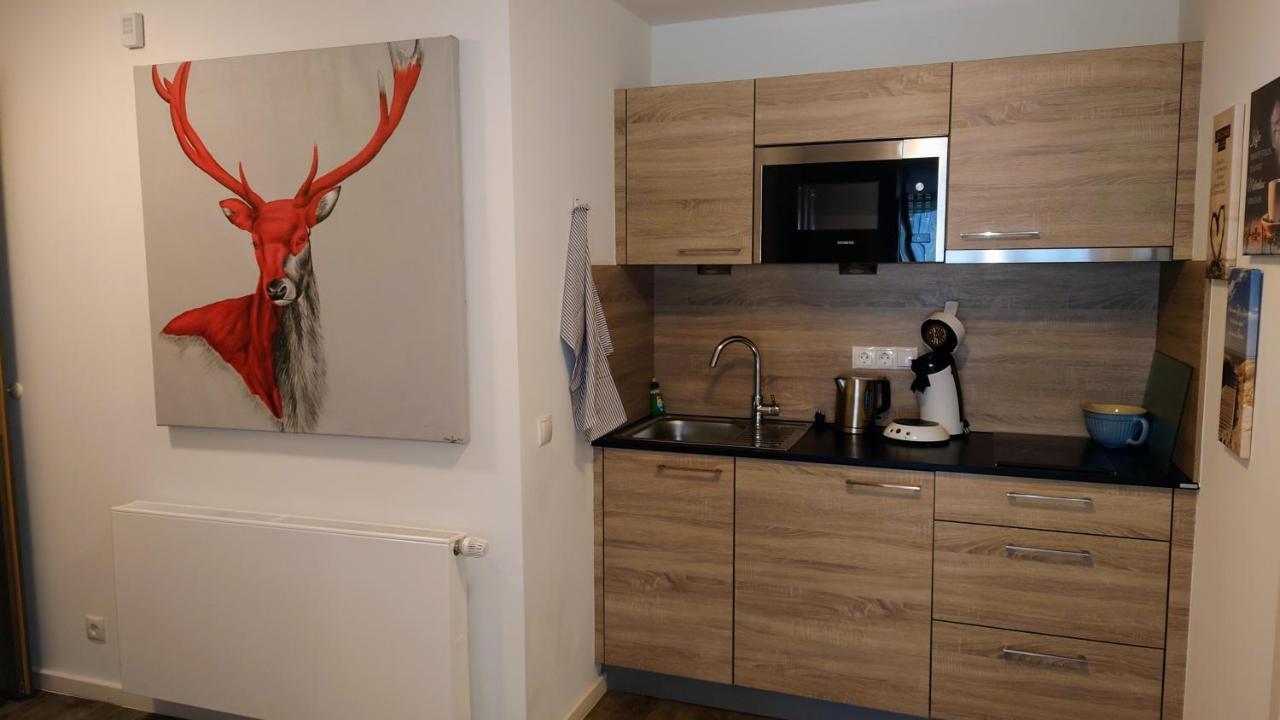Maurers Schlierseetraum 6, Studio 455 Mit 42 Qm Neu Renoviert, Erdgeschoss Mit Eingezaeunter Terrasse In Ruhiger Lage Am Kirchbichlweg 8 Exteriör bild