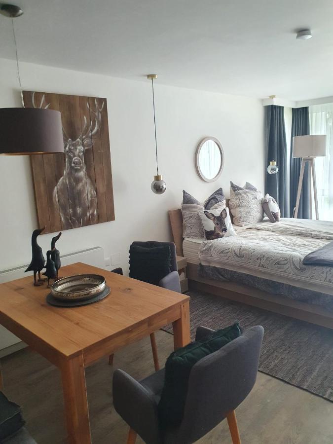 Maurers Schlierseetraum 6, Studio 455 Mit 42 Qm Neu Renoviert, Erdgeschoss Mit Eingezaeunter Terrasse In Ruhiger Lage Am Kirchbichlweg 8 Exteriör bild